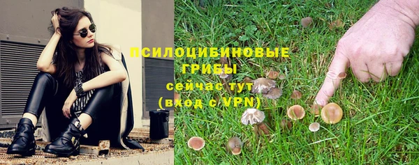 a pvp Заволжск
