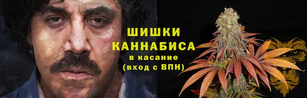 прущий лед Ельня