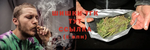 шишки Елизово