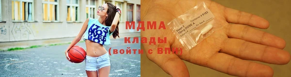 прущие грибы Заволжье