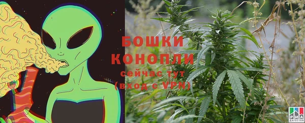 прущие грибы Заволжье