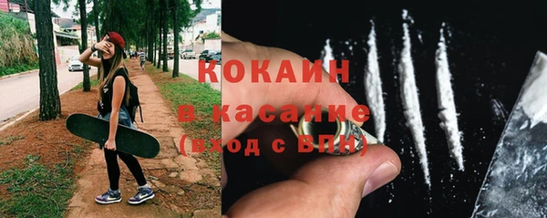шишки Елизово