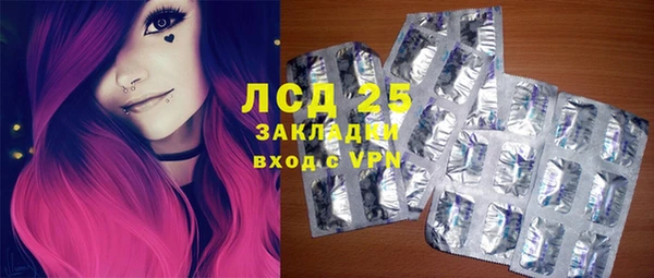 индика Печоры