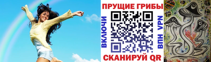 площадка телеграм  Дальнереченск  Галлюциногенные грибы мицелий 